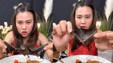 chinese sex|Stupid Chinese eating habits: CORONAVIRUS LIVE: Eating BAT。